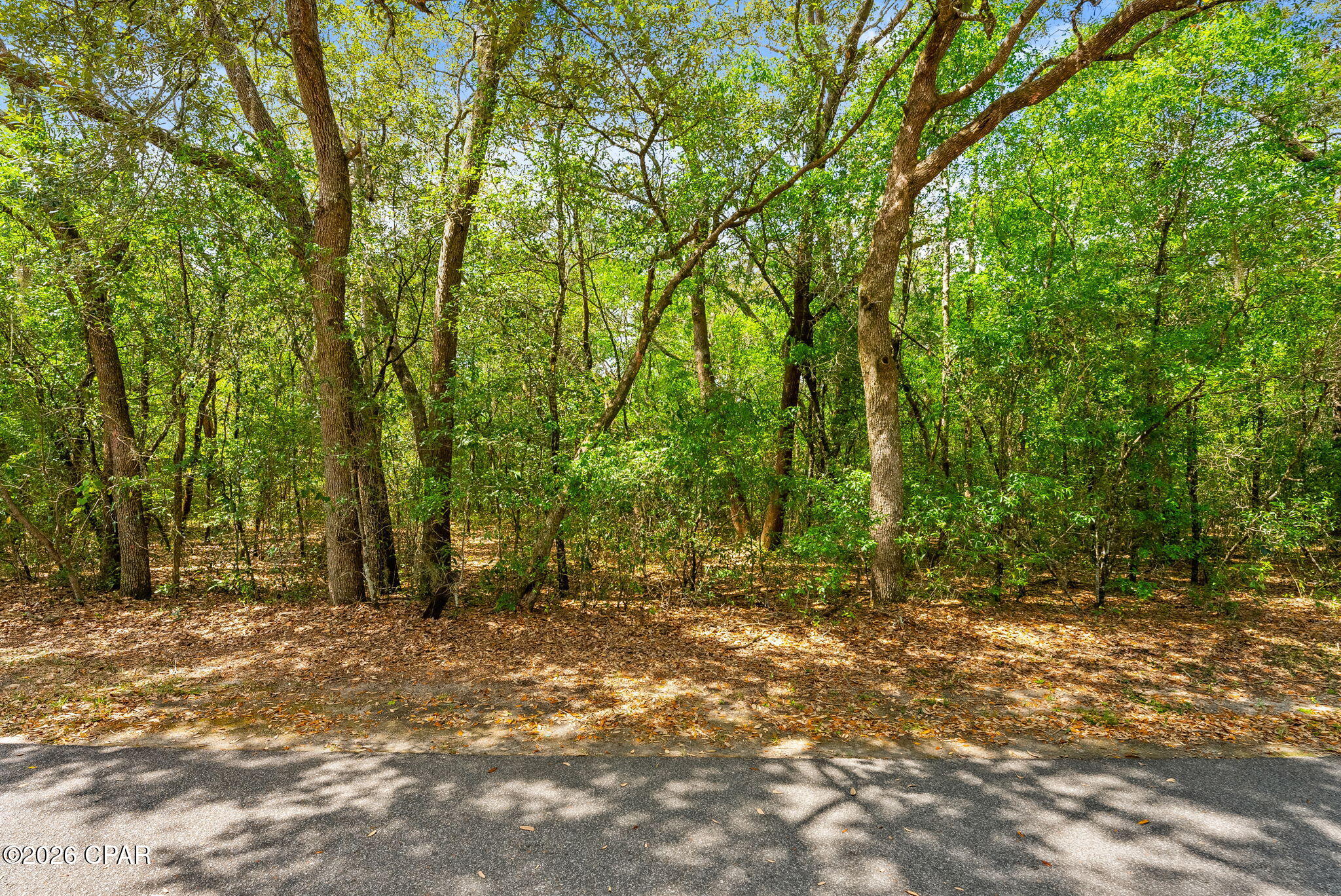0 Quail Ridge Drive Chipley, FL 32428 - Photo 14 of 22
