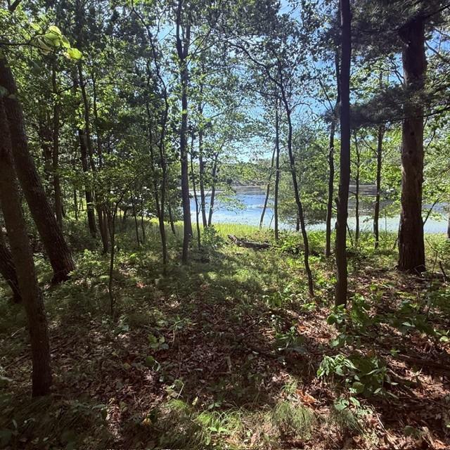 Tbd West Lilja Avenue Shell Lake, WI 54871 - Photo 12 of 23 Gallery Image 12