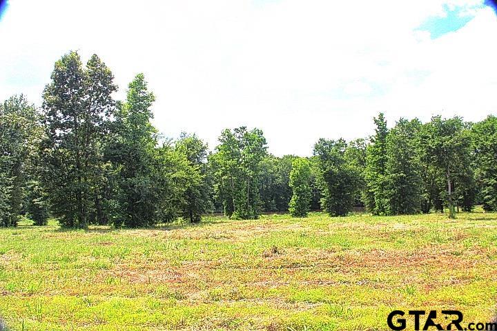a swimming pool is in the middle of a house