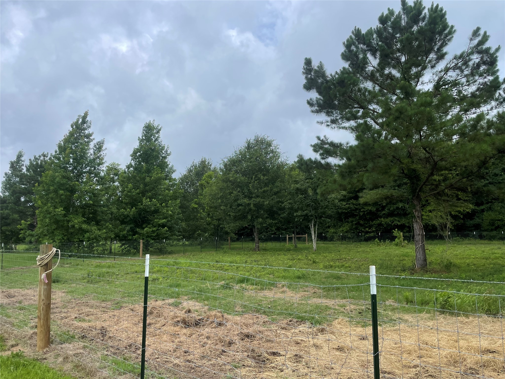 977 Tafelski Road New Waverly, TX 77358 - Photo 9 of 10