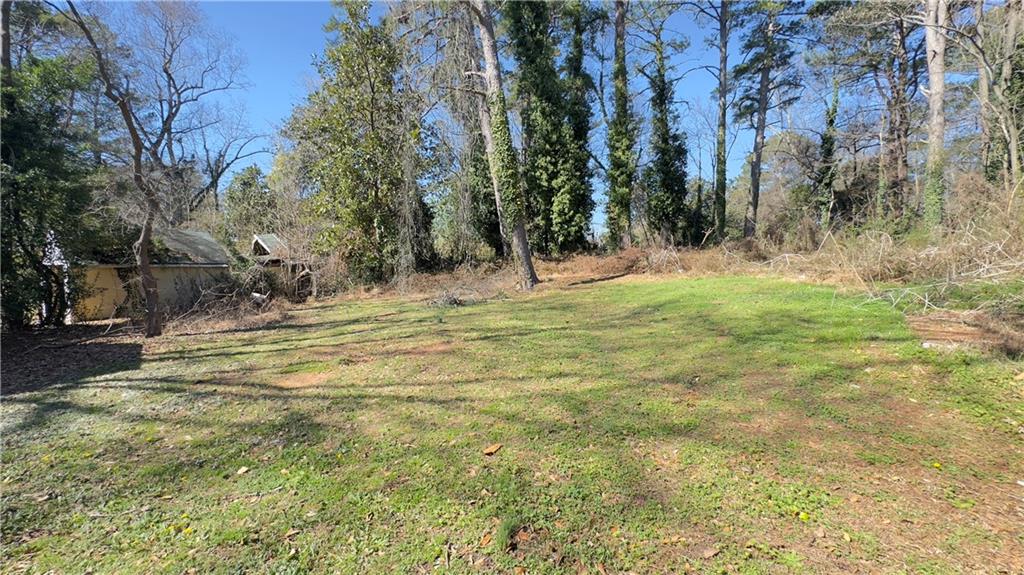 4262 Lindsey Drive Decatur, GA 30035 - Photo 6 of 7 a view of a yard with large trees