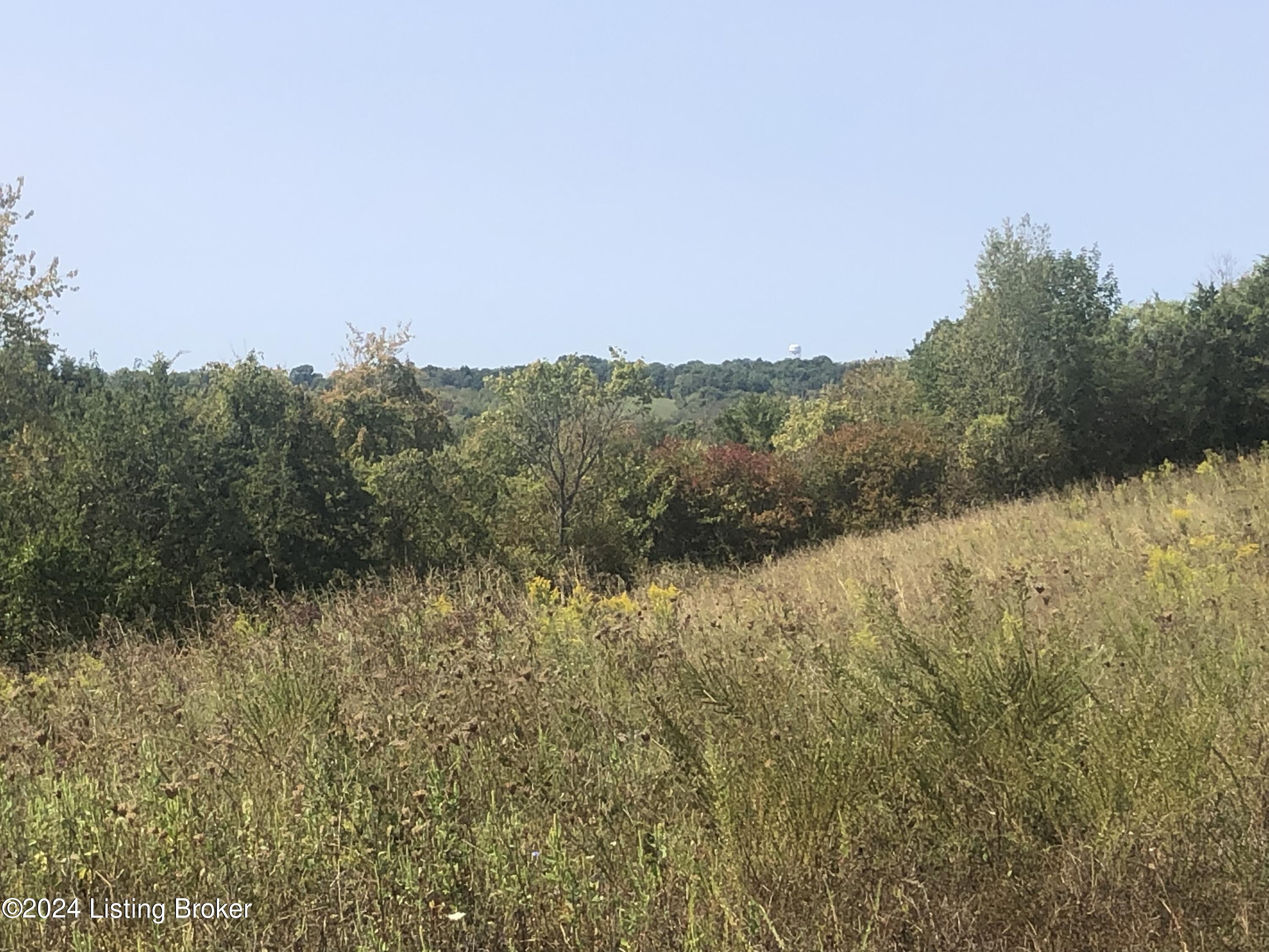 3555 Hardesty Ridge Road Taylorsville, KY 40071 - Photo 35 of 40 Room to build another house