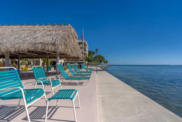 a view of a terrace with a garden
