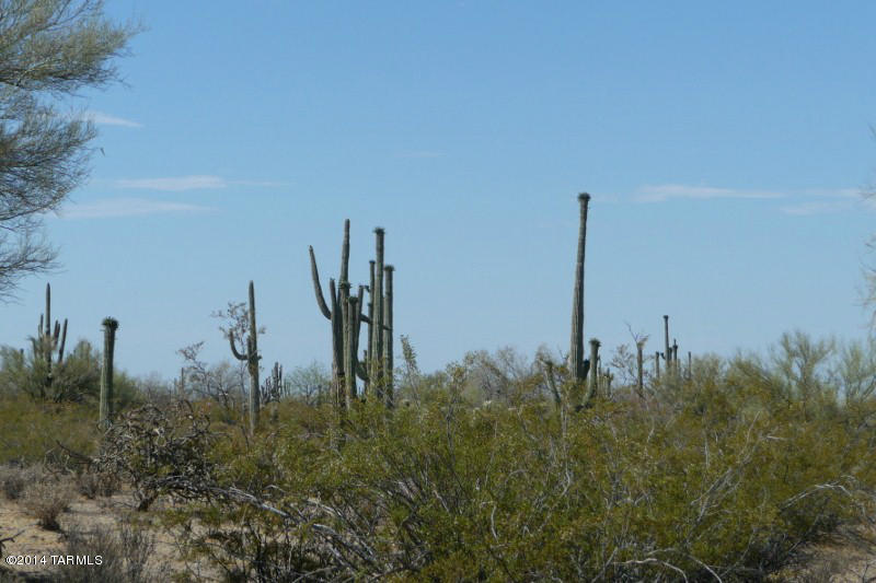 South Cattle Tank Road, Unit (40 AC) Marana, AZ 85658 - Photo 12 of 27 Gallery Image 12
