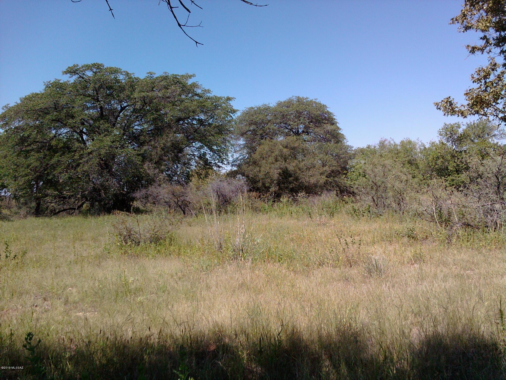 East Walnut Trail Pearce, AZ 85625 - Photo 11 of 47