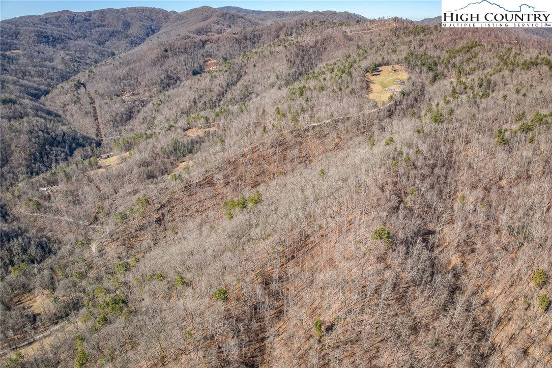 Heaton Branch Road Butler, TN 37640 - Photo 7 of 24
