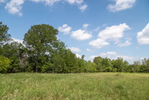 $1,320,000 | 0 Fm 2620, Bedias, TX 77831