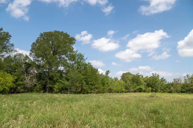 $1,320,000 | 0 Fm 2620, Bedias, TX 77831