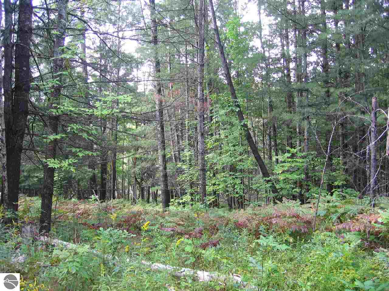 0 East Heath Road Lupton, MI 48635 - Photo 14 of 22 1790335-13.JPG