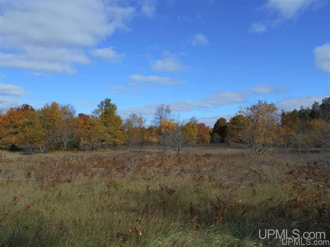 Tbd Tee Lake Road, Unit EAST PARCEL Germfask, MI 49836 - Photo 1 of 10