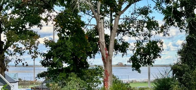 $2,800 | 17 Fremont Street, Unit 2, Plymouth, MA 02360