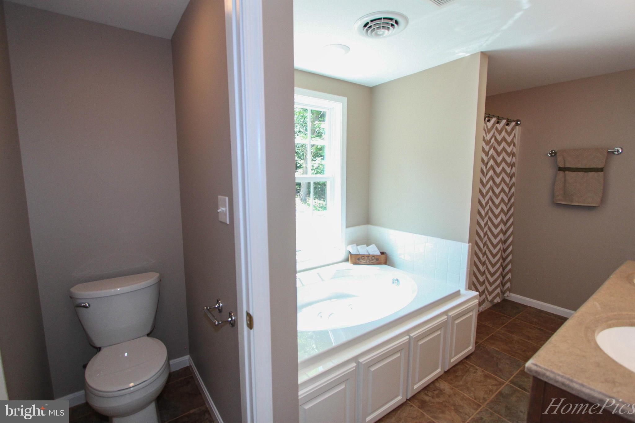 2613 Chestnut Grove Road Sharpsburg, MD 21782 - Photo 22 of 30 Bath (Master)