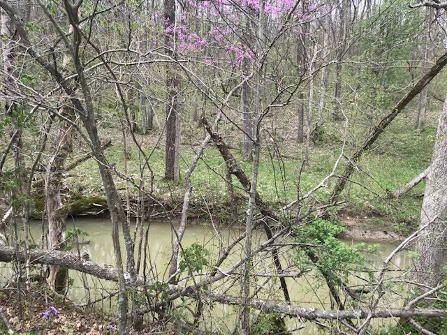 Menzie Bottoms Road Butler, KY 41006 - Photo 17 of 39 Gallery Image 17
