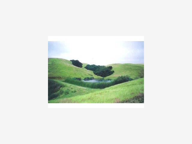 Crews Road Gilroy, CA 95020 - Photo 2 of 3 a picture of a person in a field
