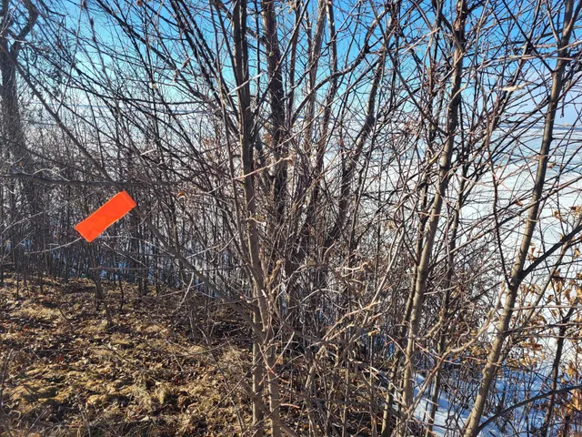 $425,000 | Tbd Wave Front Drive, Battle Lake, MN 56515