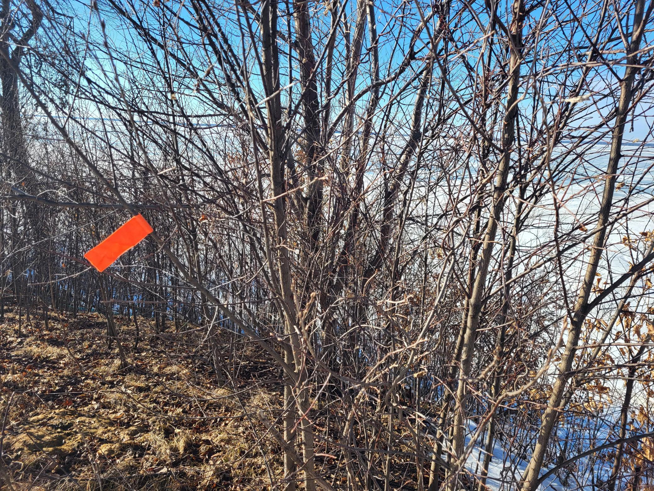 Tbd Wave Front Drive Battle Lake, MN 56515 - Photo 12 of 18