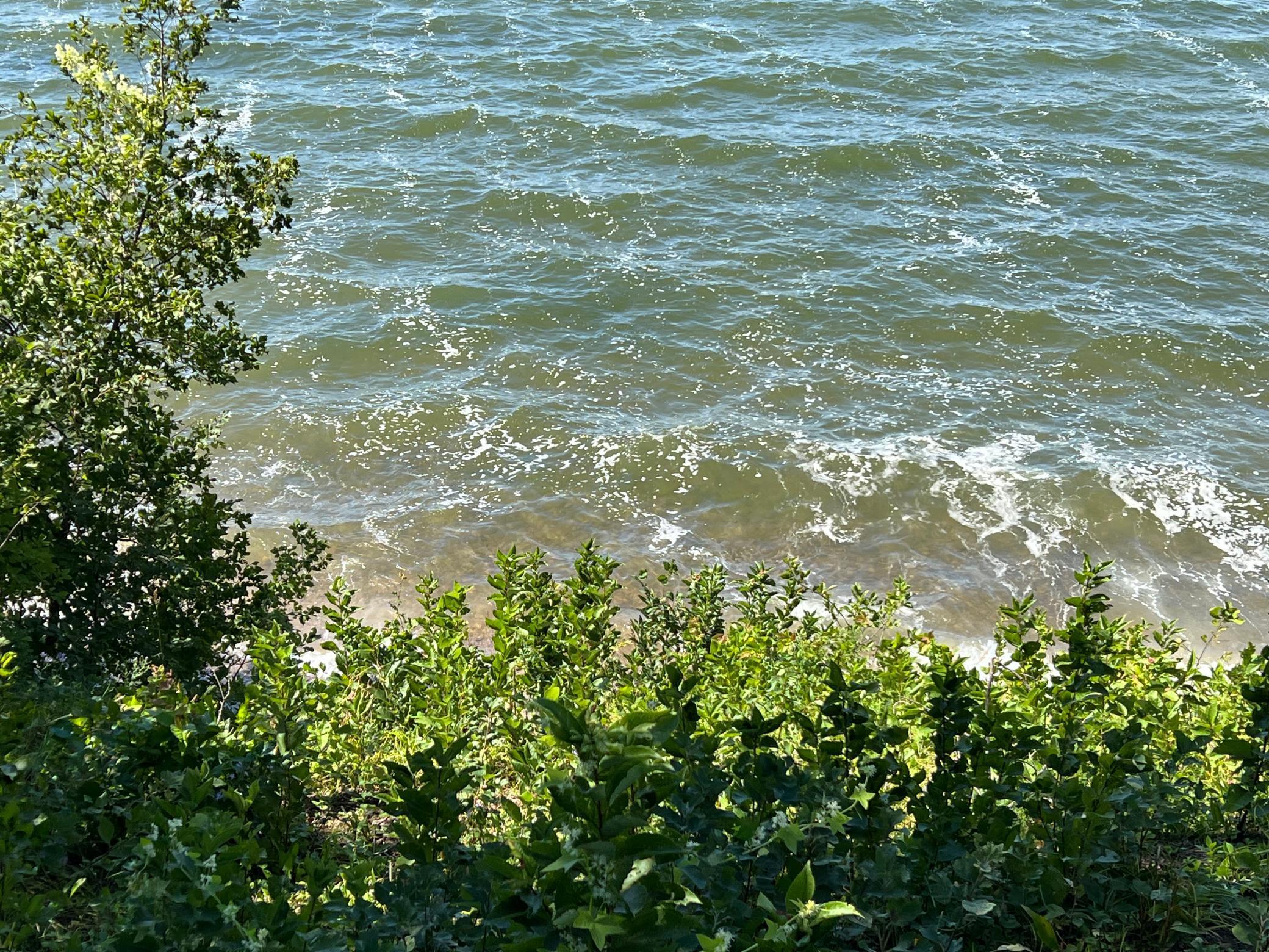 Tbd Wave Front Drive Battle Lake, MN 56515 - Photo 3 of 18