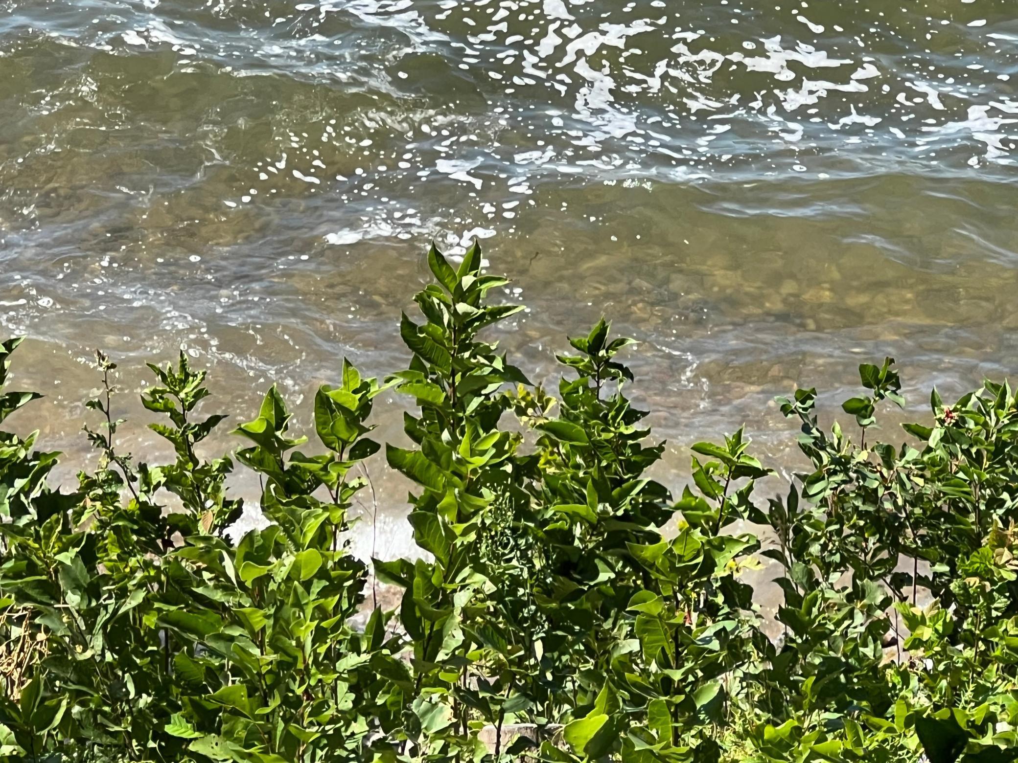 Tbd Wave Front Drive Battle Lake, MN 56515 - Photo 4 of 18