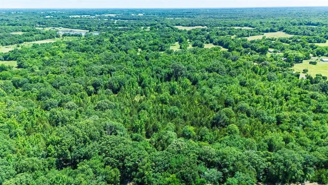 an aerial view of residential houses with outdoor space and trees in the back