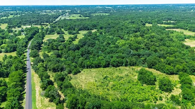 a view of a green field with lots of bushes