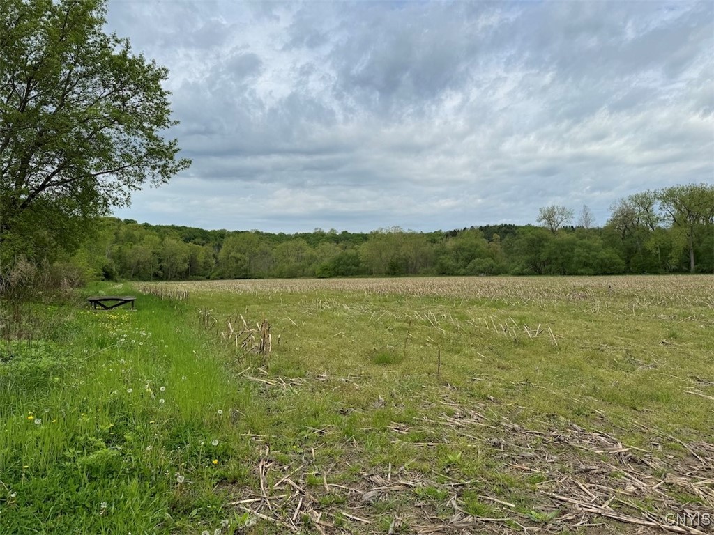 6610 Thomas Corners Road Ashford, NY 14171 - Photo 15 of 32