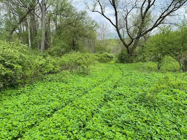 $249,900 | 6610 Thomas Corners Road, Ashford, NY 14171