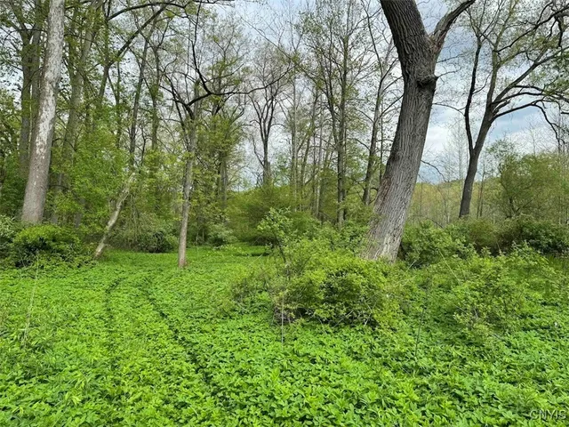 $249,900 | 6610 Thomas Corners Road, Ashford, NY 14171