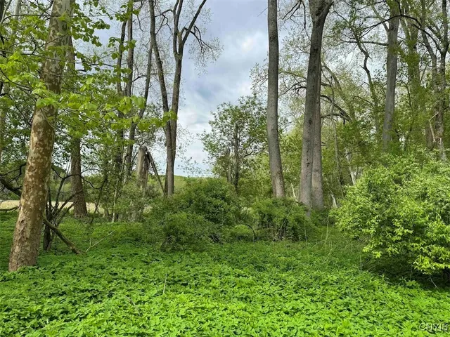 $249,900 | 6610 Thomas Corners Road, Ashford, NY 14171