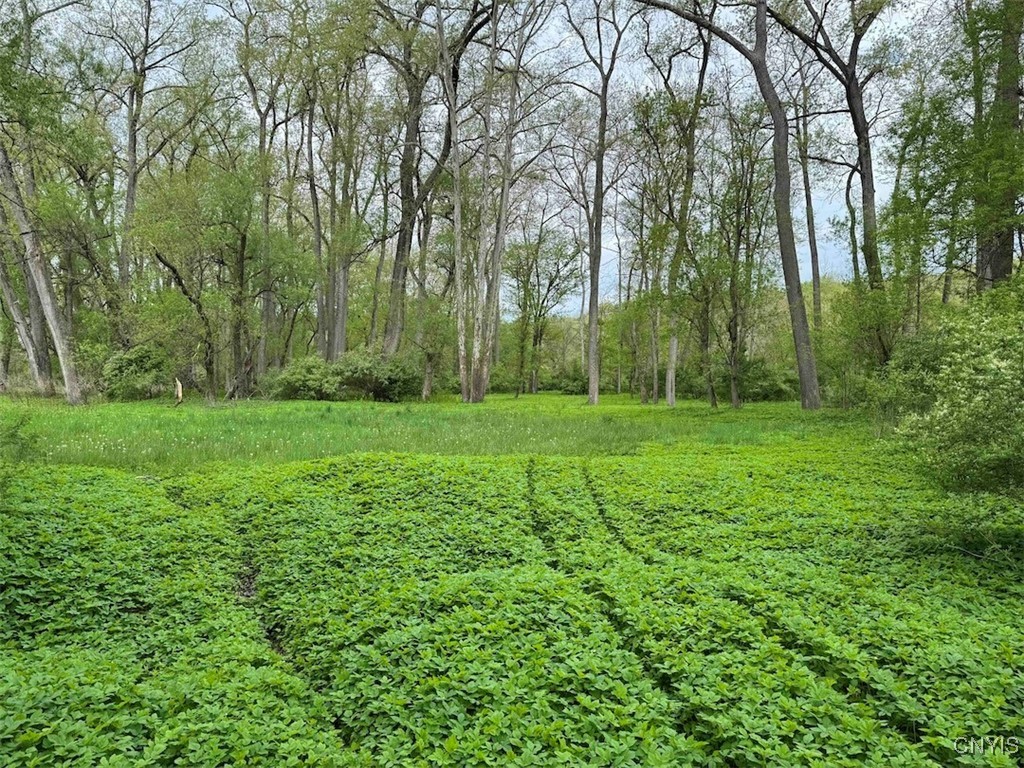 6610 Thomas Corners Road Ashford, NY 14171 - Photo 22 of 32