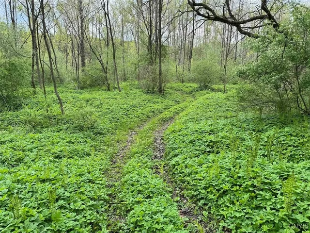 $249,900 | 6610 Thomas Corners Road, Ashford, NY 14171