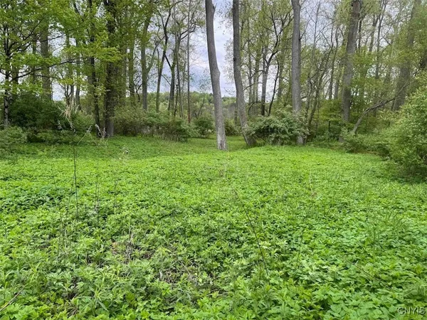 $249,900 | 6610 Thomas Corners Road, Ashford, NY 14171
