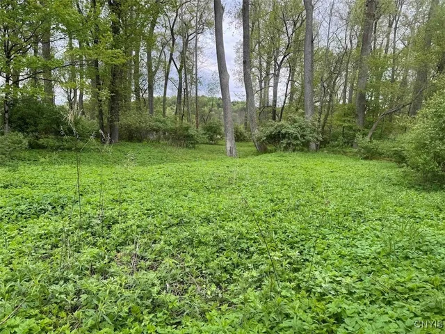 $249,900 | 6610 Thomas Corners Road, Ashford, NY 14171