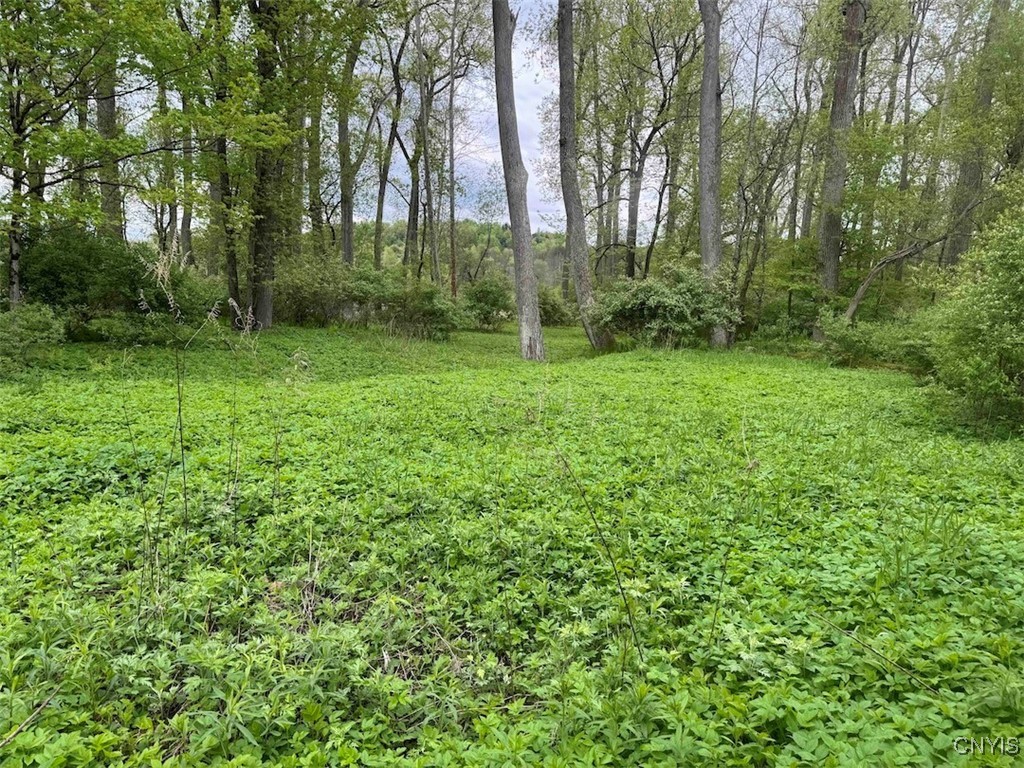 6610 Thomas Corners Road Ashford, NY 14171 - Photo 28 of 32