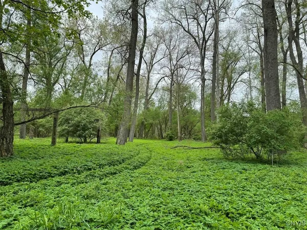 $249,900 | 6610 Thomas Corners Road, Ashford, NY 14171