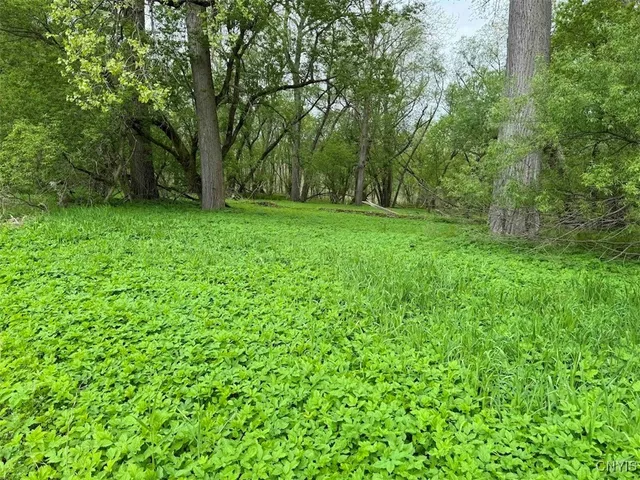 $249,900 | 6610 Thomas Corners Road, Ashford, NY 14171