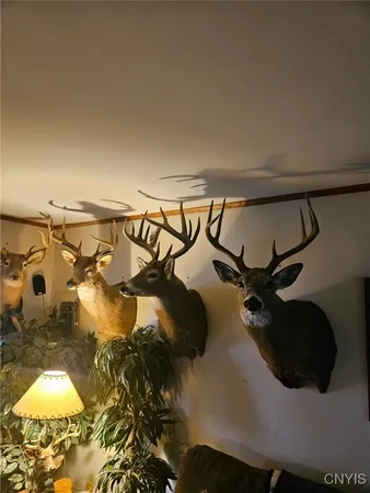 $249,900 | 6610 Thomas Corners Road, Ashford, NY 14171