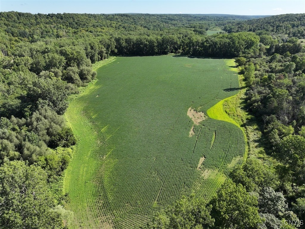 6610 Thomas Corners Road Ashford, NY 14171 - Photo 5 of 32