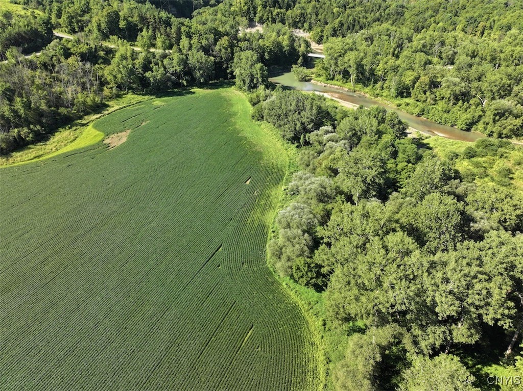 6610 Thomas Corners Road Ashford, NY 14171 - Photo 8 of 32