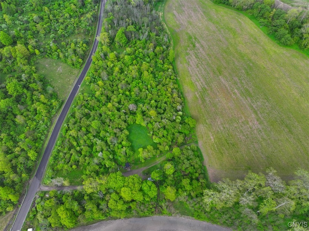 6610 Thomas Corners Road Ashford, NY 14171 - Photo 10 of 32