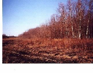 4190 North Custer Road Scottville, MI 49454 - Photo 8 of 8 Additional Photo