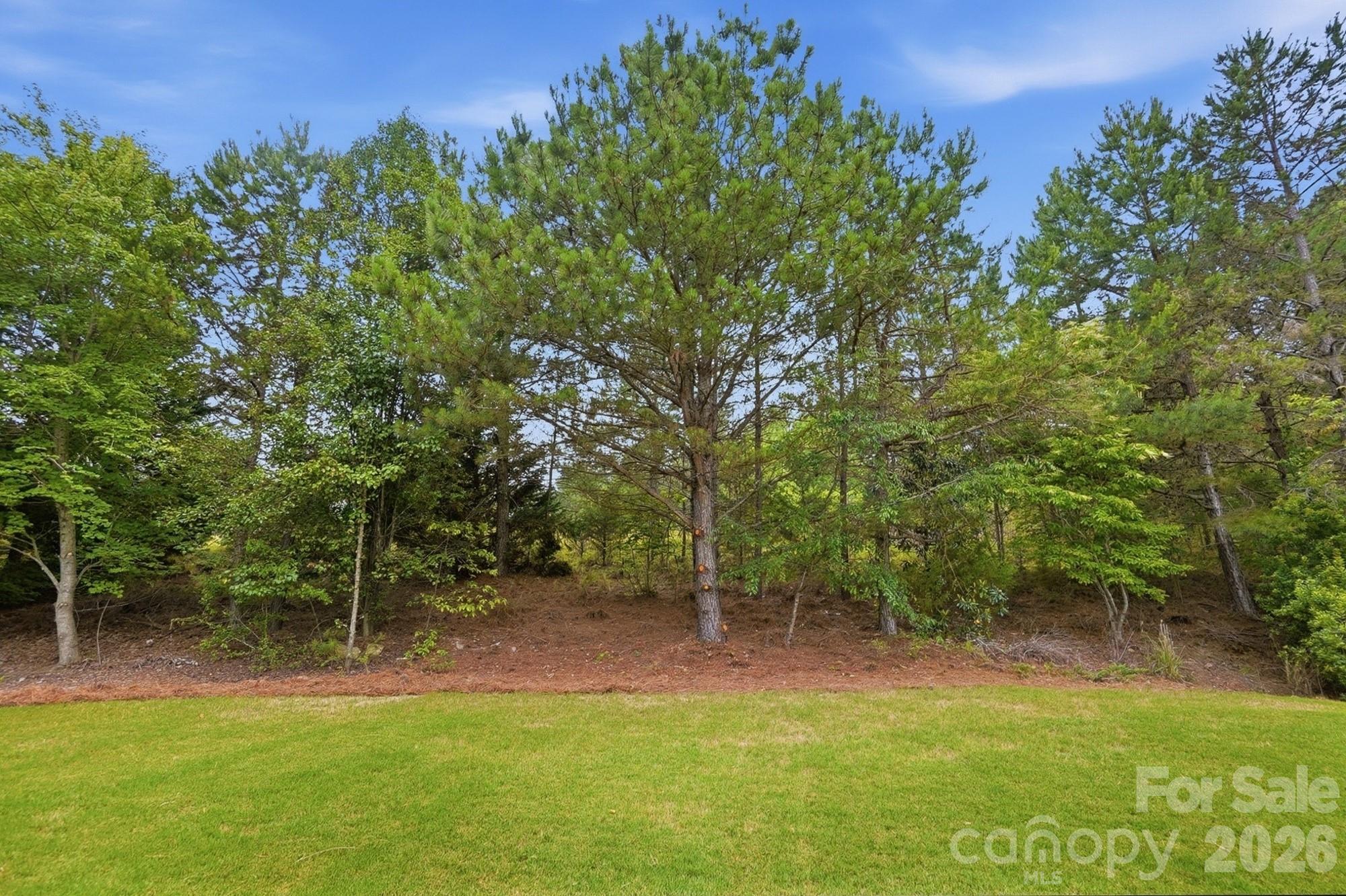 1424 Ridgehaven Road Waxhaw, NC 28173 - Photo 5 of 7