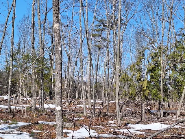 $179,000 | Lot 11 Isaac Stevens Road, Bridgton, ME 04009