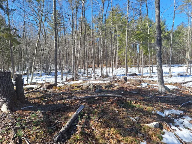 $179,000 | Lot 11 Isaac Stevens Road, Bridgton, ME 04009