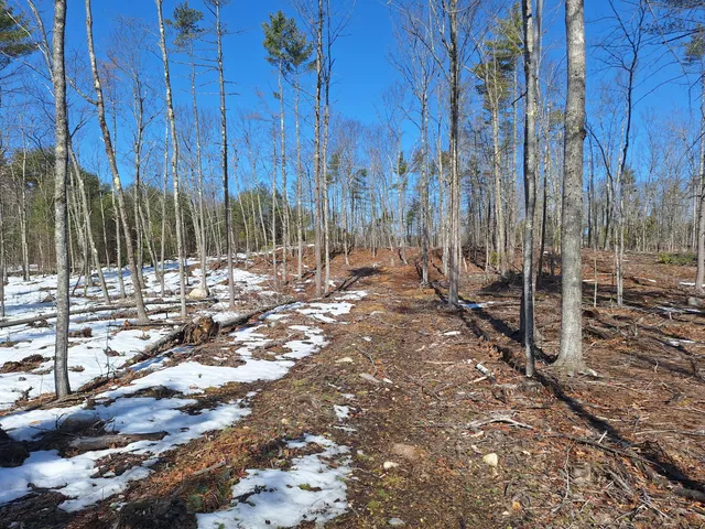 $179,000 | Lot 11 Isaac Stevens Road, Bridgton, ME 04009