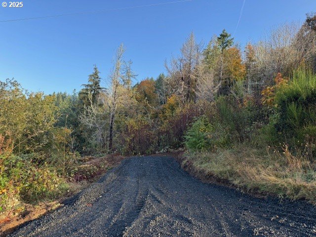North Echo Mountain Road, Unit TL 200 Otis, OR 97368 - Photo 12 of 19