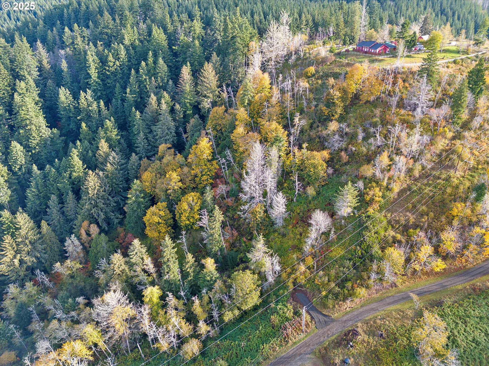 North Echo Mountain Road, Unit TL 200 Otis, OR 97368 - Photo 16 of 19