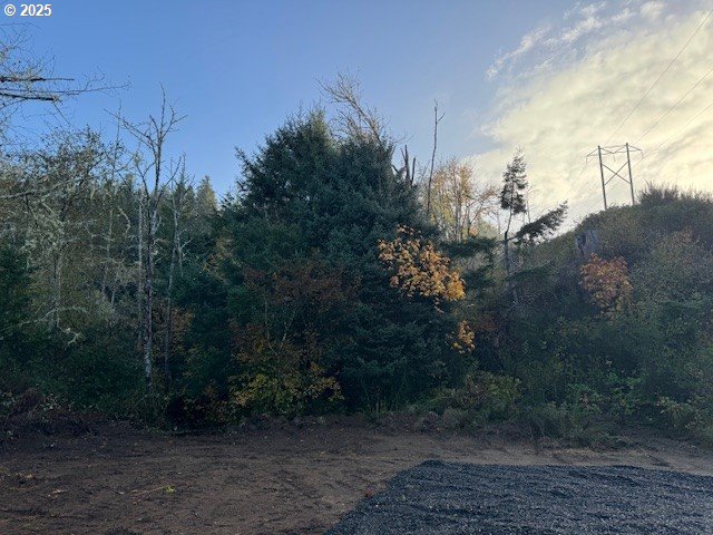 North Echo Mountain Road, Unit TL 200 Otis, OR 97368 - Photo 7 of 19