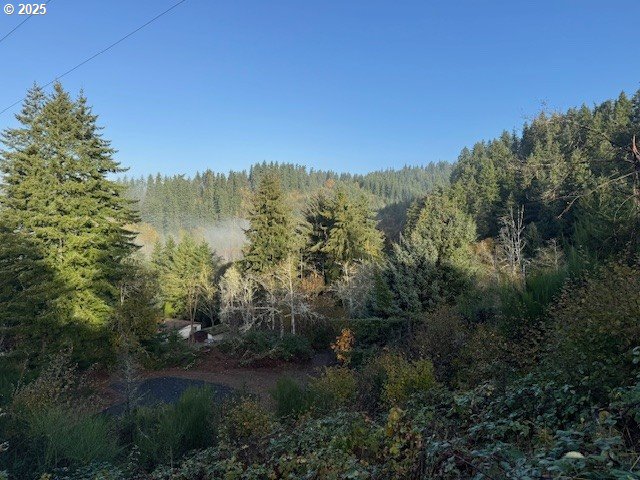North Echo Mountain Road, Unit TL 200 Otis, OR 97368 - Photo 10 of 19