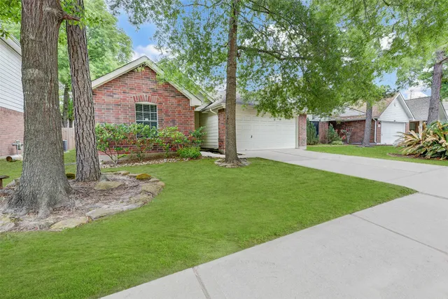 a view of a yard in front of a house with plants and large tree