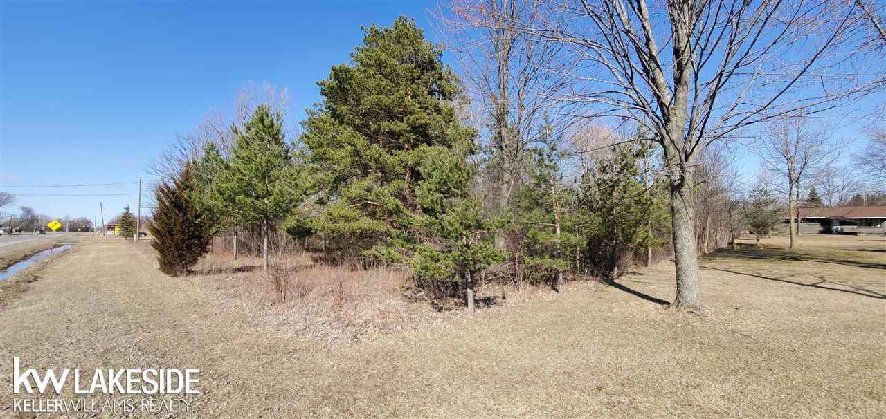 0 Torrey Road Flint, MI 48507 - Photo 3 of 4